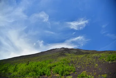 DSC_3623 (Large).JPG